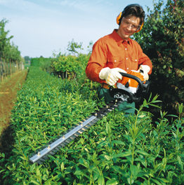 Hedge Trimming Hendon